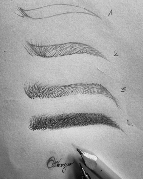 Этюды карандашом