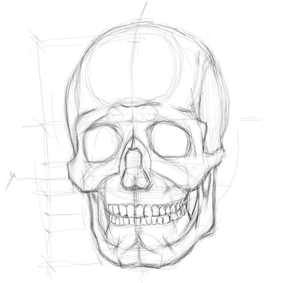 Поэтапный рисунок черепа