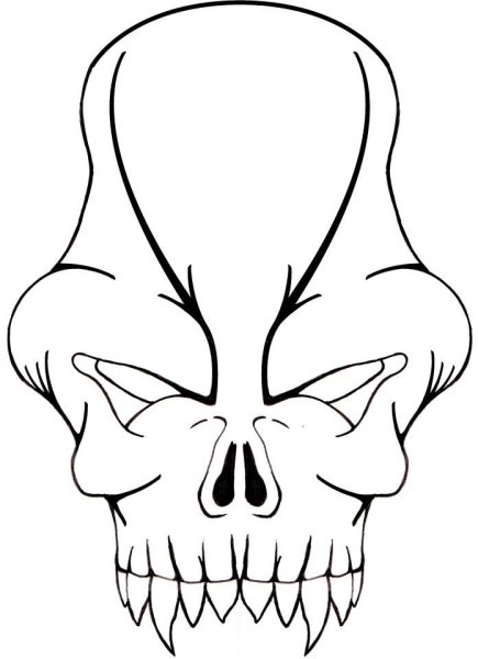 Череп рисунок карандашом
