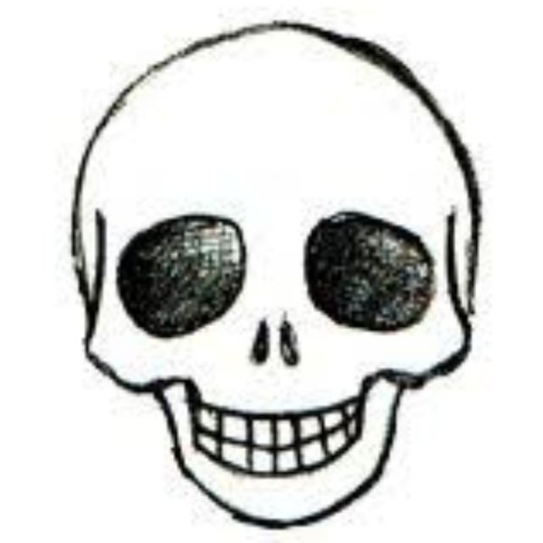 Череп для срисовки легко