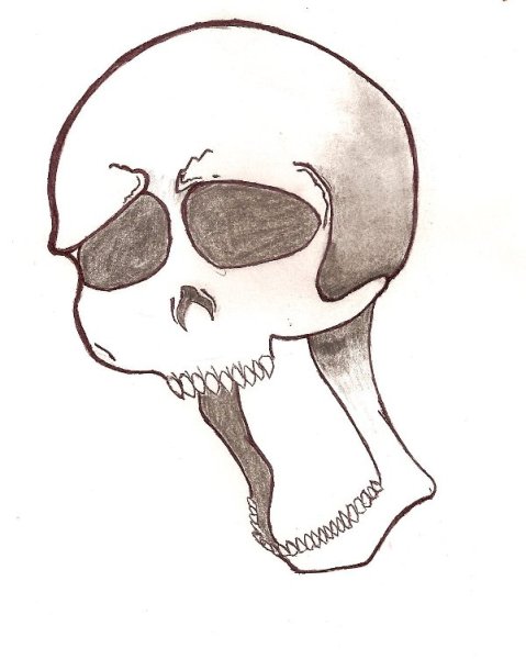 Рисунки черепа для срисовки