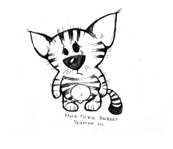 Смешной кот рисунок карандашом