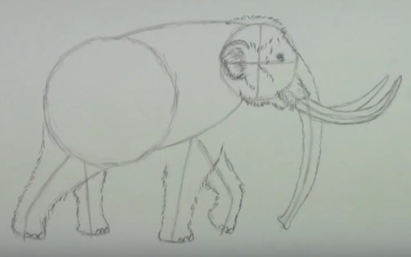 Мамонт карандашом легко
