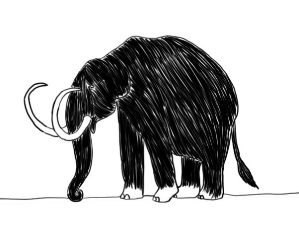 Мамонт для срисовки