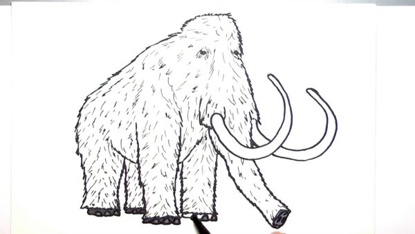 Мамонт рисунок