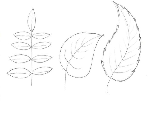 Осенний лист поэтапное рисование