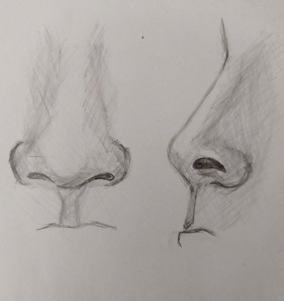 Рисование носа