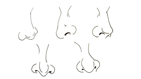 Нарисовать нос