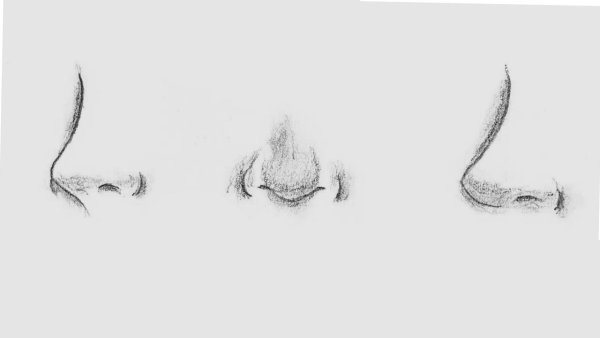 Нос спереди туториал