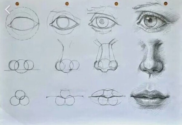 Нос рисунок карандашом для начинающих