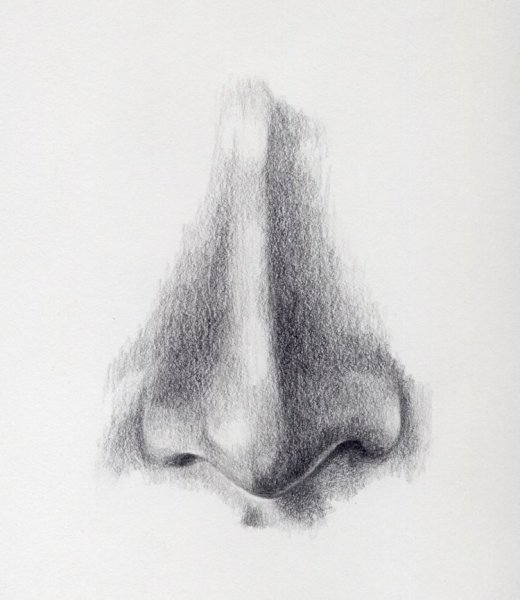 Уроки рисования носа