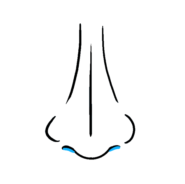 Нарисовать нос