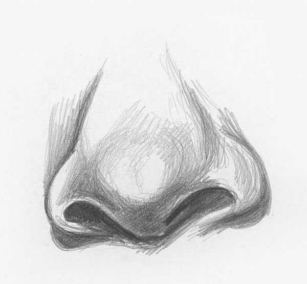 Рисование носа анфас