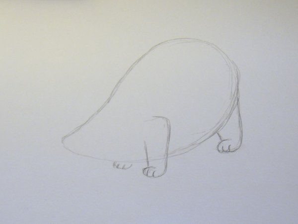 Нарисовать барсука карандашом поэтапно для начинающих