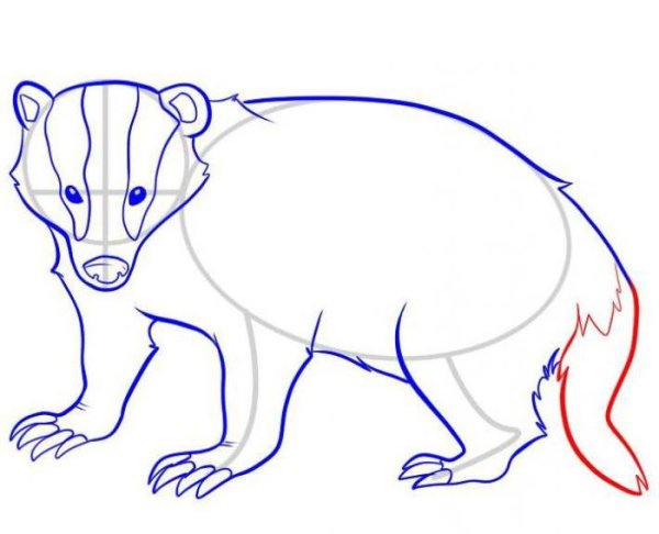 Детские рисунки барсука