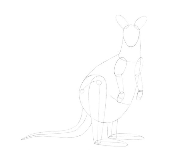 Кенгуру карандашом