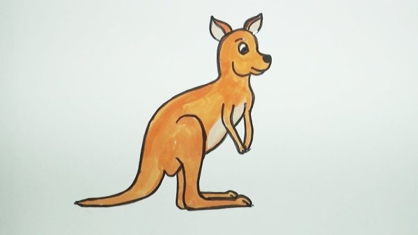 Кенгуру раскраска