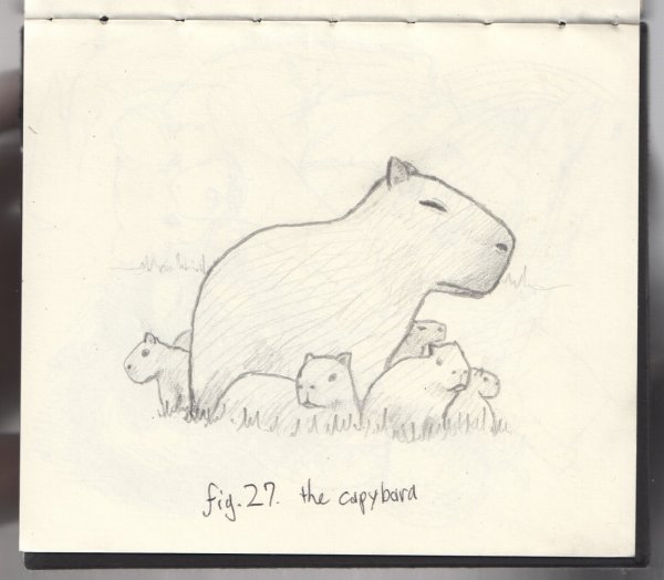 Капибара тату