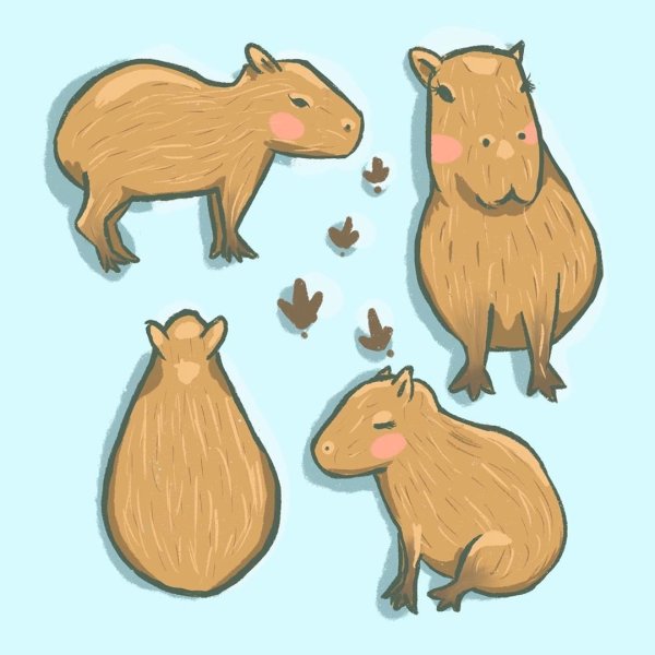 Энканто капибара