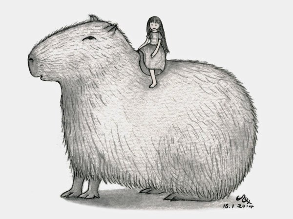 Капибара рисунок для детей