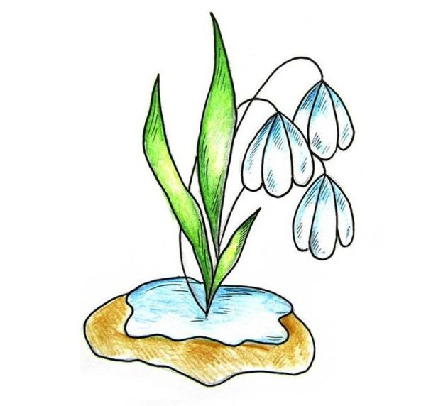 Подснежники рисунок