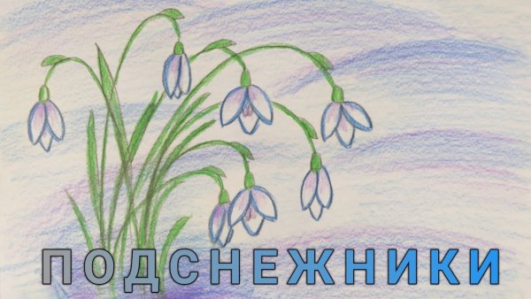 Рисунок подснежника карандашом для начинающих