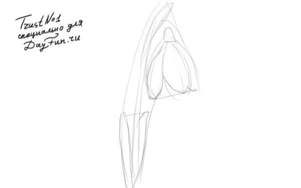 Подснежник рисунок простым карандашом