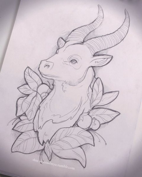 Козерог эскиз маленький