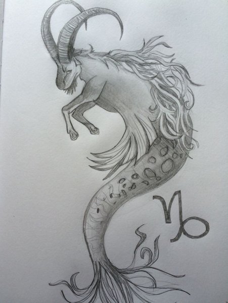 Телец раскраска для детей