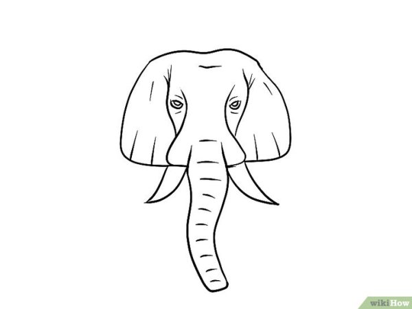 Слон схематичный рисунок