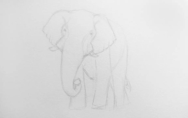 Легкий слон