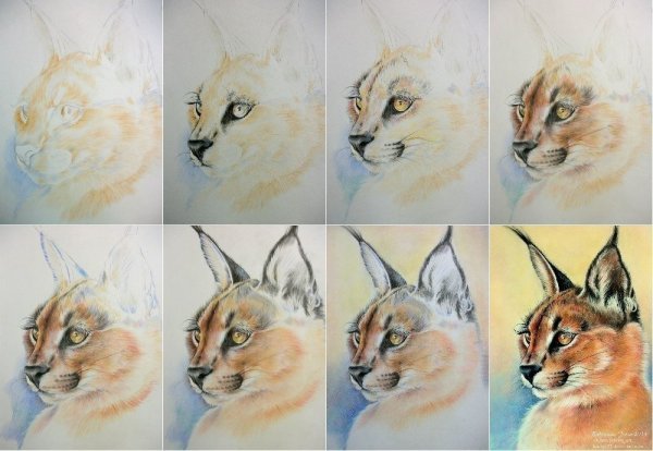 Животные акварелью для начинающих