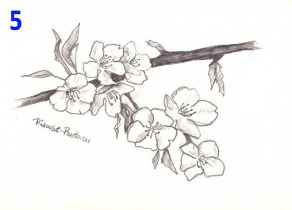 Пейзаж простым карандашом