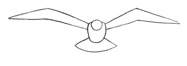 Чайка раскраска контур