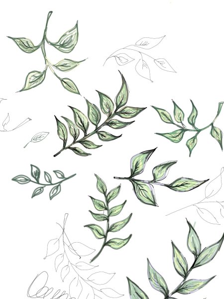 Листья для срисовки