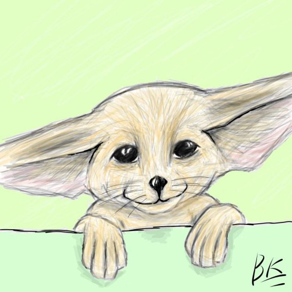 Fennec мультсериал