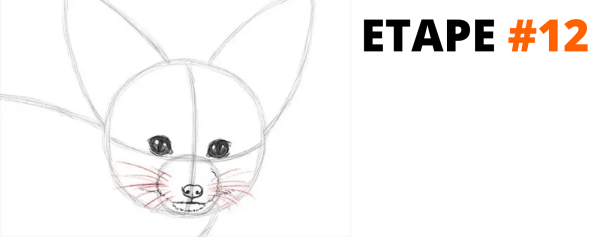 Фенек нарисовать поэтапно