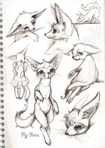 Лиса фенек референс