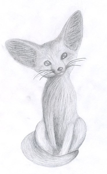 Рисунок карандашом легко и красиво животных