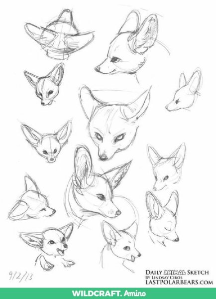 Лиса фенек туториал