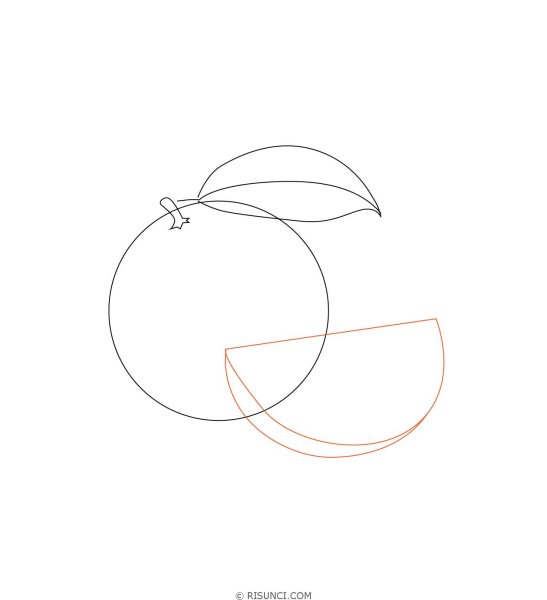 Поэтапный рисунок апельсин