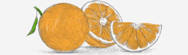 Долька апельсина карандашом