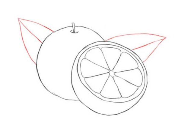 Поэтапное рисование апельсина для детей