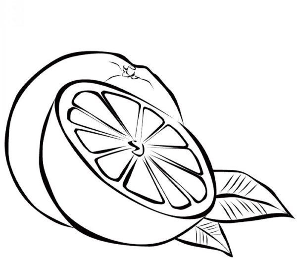 Апельсин раскраска