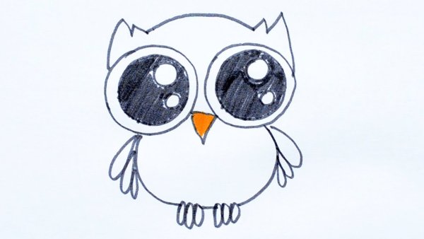 Картинки Совы для срисовки