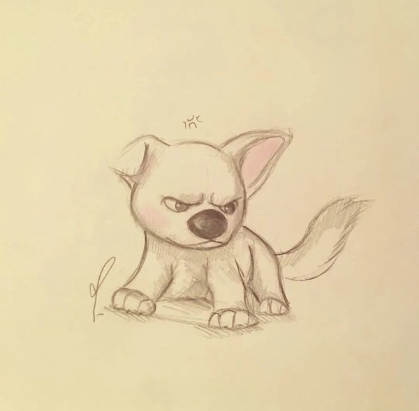 Картинки для срисовки животные