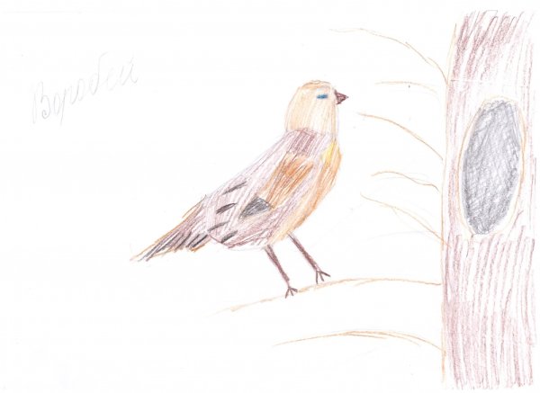 Рисование Жаворонок старшая группа