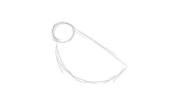 Жаворонок поэтапное рисование