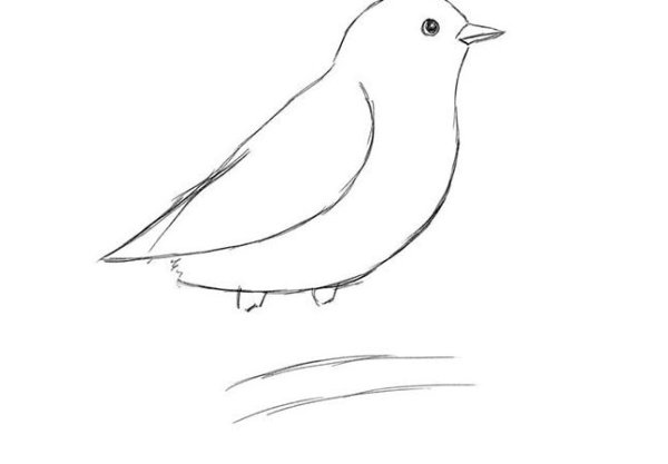 Птичка карандашом для детей легкие