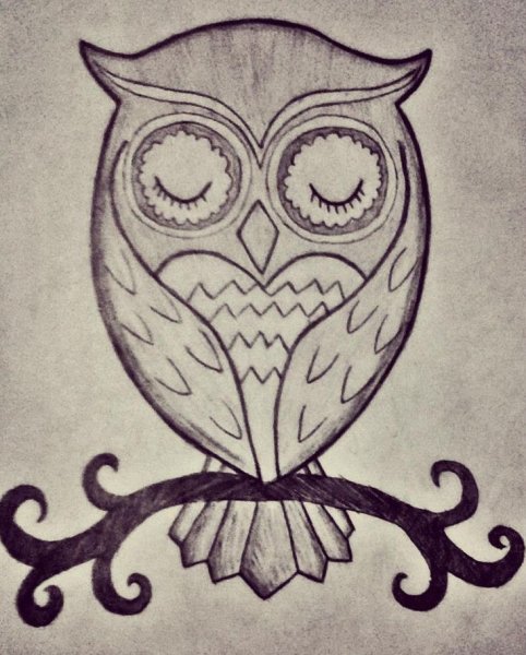 Рисунок Совы легкий